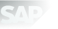 SAP_2011_logo 1