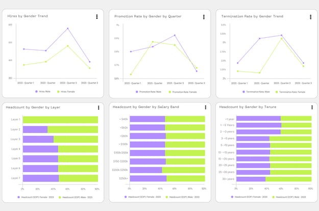 diverstity dei dashboard