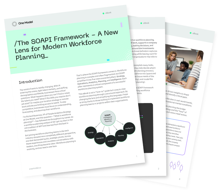 The SOAPI Framework - A New Lens for Modern Workforce Planning